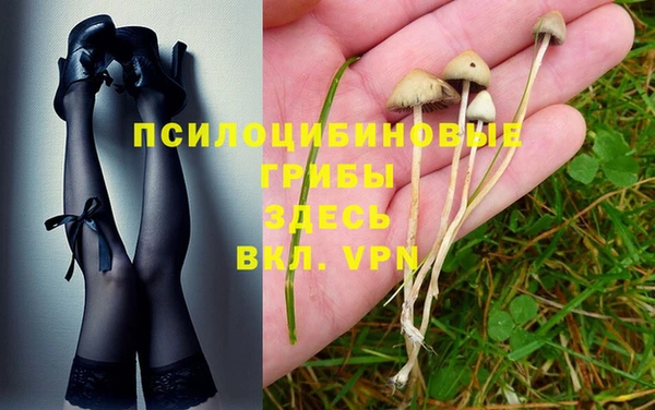 герыч Кулебаки