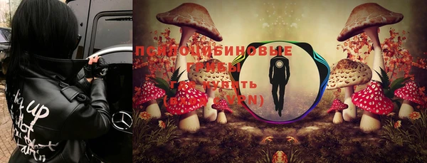 мет Кукмор